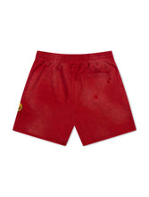 Load image into Gallery viewer, All Human H.O.M.E Shorts - Red Wash