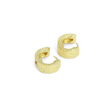 Load image into Gallery viewer, Hammered Gold Thick Hoop Earrings, Sku#LD574