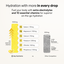 Load image into Gallery viewer, Electrolyte Recovery Plus Powder (Sugar-Free)