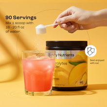 Load image into Gallery viewer, Electrolyte Recovery Plus Powder (Sugar-Free)