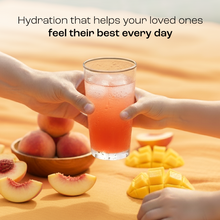 Load image into Gallery viewer, Electrolyte Recovery Plus Powder (Sugar-Free)