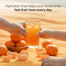 Load image into Gallery viewer, Electrolyte Recovery Plus Powder (Sugar-Free)