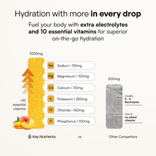 Load image into Gallery viewer, Electrolyte Recovery Plus Powder (Sugar-Free)