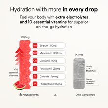 Load image into Gallery viewer, Electrolyte Recovery Plus Powder (Sugar-Free)