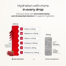 Load image into Gallery viewer, Electrolyte Recovery Plus Powder (Sugar-Free)