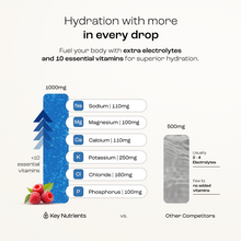 Load image into Gallery viewer, Electrolyte Recovery Plus Powder (Sugar-Free)