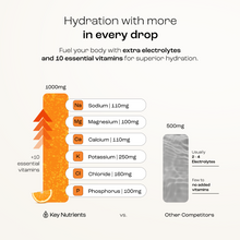 Load image into Gallery viewer, Electrolyte Recovery Plus Powder (Sugar-Free)