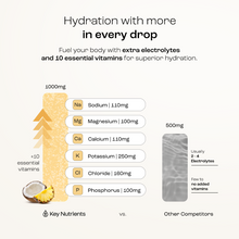 Load image into Gallery viewer, Electrolyte Recovery Plus Powder (Sugar-Free)