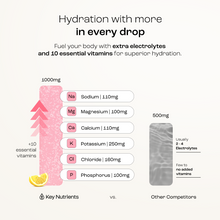 Load image into Gallery viewer, Electrolyte Recovery Plus Powder (Sugar-Free)