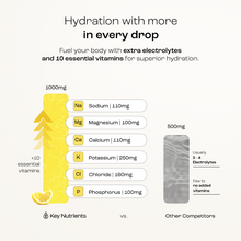 Load image into Gallery viewer, Electrolyte Recovery Plus Powder (Sugar-Free)