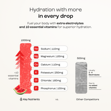Load image into Gallery viewer, Electrolyte Recovery Plus Powder (Sugar-Free)