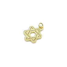 Load image into Gallery viewer, CZ Pave Jewish Star of David Pendant, Sku#LX598