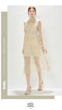 Load image into Gallery viewer, New Heavy Industry Embroidery Lace Lapel Waist Mesh Dress