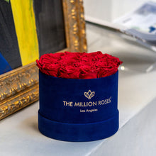 Load image into Gallery viewer, Classic Royal Blue Suede Box | Red Roses
