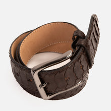 Load image into Gallery viewer, The Boss Brown python Sneak  Leather Leather Belt