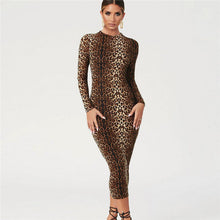 Load image into Gallery viewer, Autumn Winter Women Clothing Leopard Print Long Sleeve Sexy Slim Dress