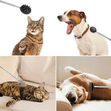 Load image into Gallery viewer, Retractable Cactus Back Scratcher – Long Handle, Durable PVC