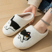 Load image into Gallery viewer, Fuzzy Cartoon Cotton Slippers