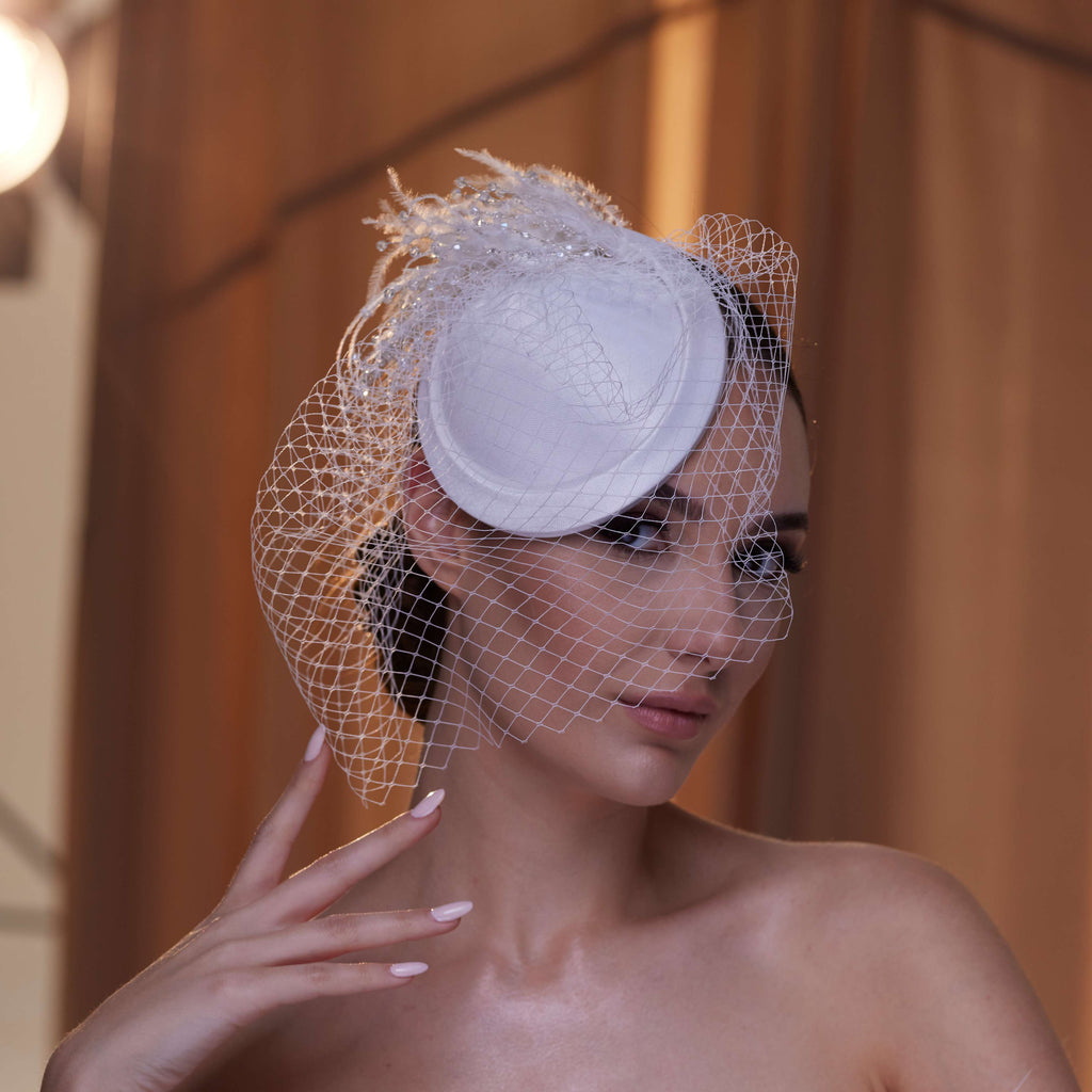 Birdcage Veil with Feathers
