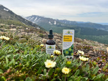 Load image into Gallery viewer, Rhodiola Rosea Tincture – Natural Stress &amp; Energy Support (2 oz)