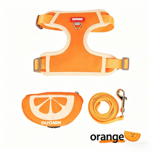 Load image into Gallery viewer, Orange Fruit Dog Harness and Leash Set with Mini Pouch