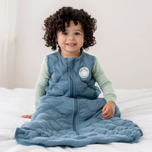 Load image into Gallery viewer, Dream Weighted Sleep Sack