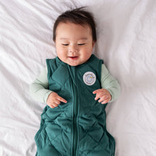 Load image into Gallery viewer, Dream Weighted Sleep Sack