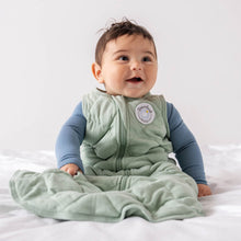 Load image into Gallery viewer, Dream Weighted Sleep Sack