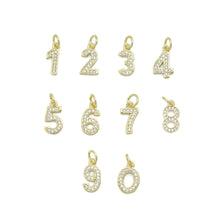 Load image into Gallery viewer, Clear CZ Ten Arabic Numer  Charm Pendant, Sku#LX798