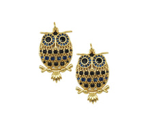 Load image into Gallery viewer, CZ Night Owl Charm, Sku#LK581