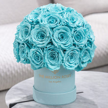 Load image into Gallery viewer, Essence Mint Green Suede Superdome Box | Turquoise Roses