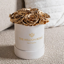 Load image into Gallery viewer, Essence Beige Suede Box | Gold Roses