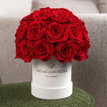 Load image into Gallery viewer, Essence Beige Suede Superdome Box | Red Roses