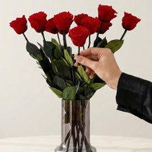Load image into Gallery viewer, Long Stem Roses | Red Roses