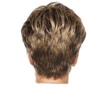 Load image into Gallery viewer, WINNER - Wig By Raquel Welch