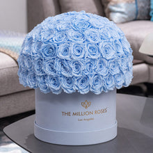 Load image into Gallery viewer, Supreme Light Blue Suede Superdome Box | Light Blue Roses