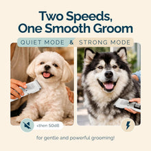 Load image into Gallery viewer, Dog Grooming Kit Cordless Clippers Quiet Strong Ceramic Blades
