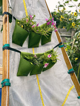 Load image into Gallery viewer, Bijou Bloom Hanging Planters