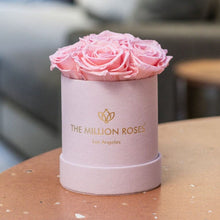 Load image into Gallery viewer, Essence Light Pink Suede Box | Light Pink Roses