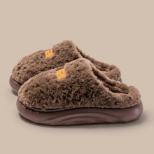 Load image into Gallery viewer, Women's Plush Thick Soled Cotton Slippers | Warm Non-Slip Indoor Home Shoes