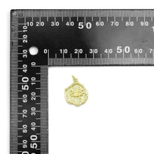Load image into Gallery viewer, CZ Evil Eye Gold Coin Charm, Sku#LK927