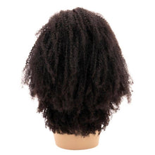 Load image into Gallery viewer, Afro Kinky Curly 4x4 Transparent Lace 100% Human Hair Closure Wig
