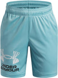 Under Armour Kids Tech Logo Shorts (Big Kid)