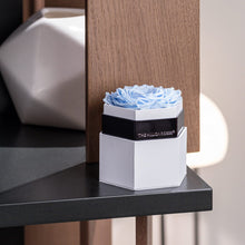 Load image into Gallery viewer, One in a Million™ White Hexagon Box | Light Blue Rose
