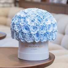 Load image into Gallery viewer, Classic Light Blue Suede Superdome Box | Light Blue Roses