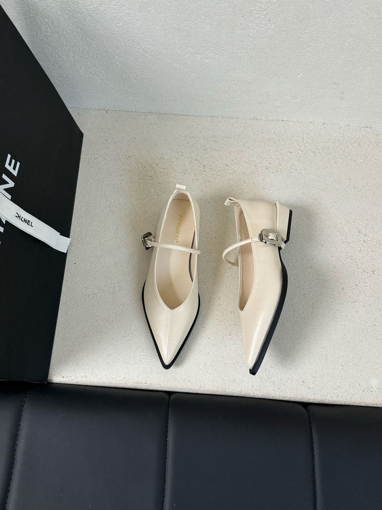 Women's Chunky Heel Mary Jane Shoes - French Retro Pointed Toe Buckle Dress Shoes