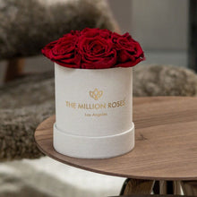 Load image into Gallery viewer, Essence Beige Suede Box | Red Roses