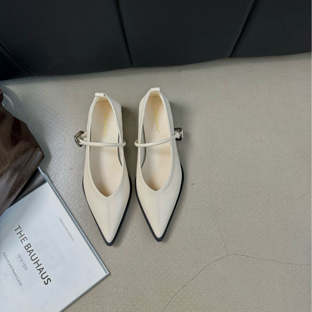 Women's Chunky Heel Mary Jane Shoes - French Retro Pointed Toe Buckle Dress Shoes