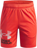 Under Armour Kids Tech Logo Shorts (Big Kid)