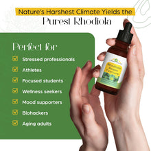 Load image into Gallery viewer, Rhodiola Rosea Tincture – Natural Stress &amp; Energy Support (2 oz)